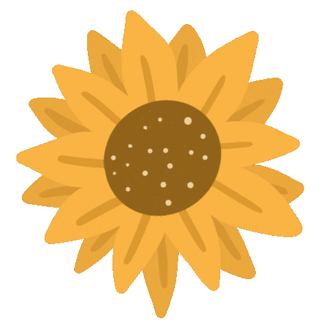 bohosocialau giphyupload sunflower bohosocial Sticker