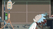 Season 5 GIF by Rick and Morty