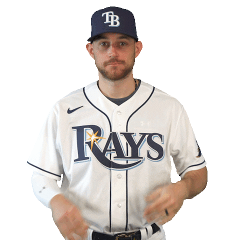 Tampa Bay Rays Baseball Sticker by MLB