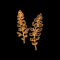 teasom flower flowers texas dallas GIF