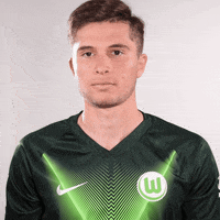 Soccer Bundesliga GIF by VfL Wolfsburg