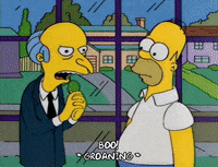 homer simpson GIF
