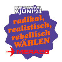 MERA25 eu europawahl2024 wahlomat mera25 Sticker