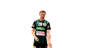 Sport Handball Sticker by DIE RECKEN