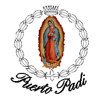 Florence Sticker by Pyzel Surfboards