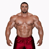 Muscle Bodybuilder GIF by Database數據