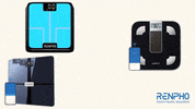 Fitness 3D GIF by RENPHO