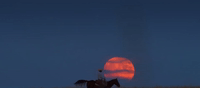 nebraska GIF