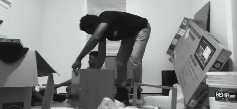 profitpont giphyupload GIF