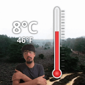 8 °C