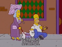 homer simpson GIF