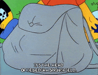 Season 1 GIF by The Simpsons