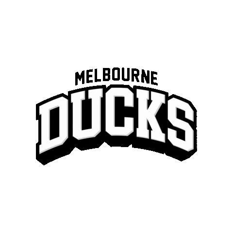 Ice Hockey Melbourne Sticker by icehq