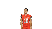 Utah Utes Sticker by Utah Football