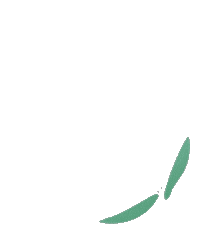 vegan plant Sticker by Melt Organic