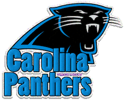 carolina panthers football STICKER