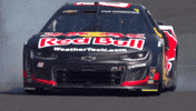 Sonoma Raceway Winner GIF by NASCAR