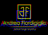 AndreaFiordigiglio andreafiordigiglio GIF