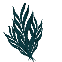 Leaves Sticker