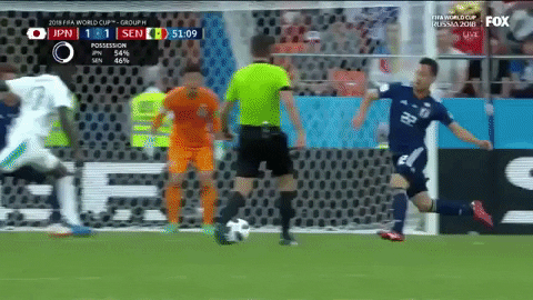 world cup japan GIF by nss sports