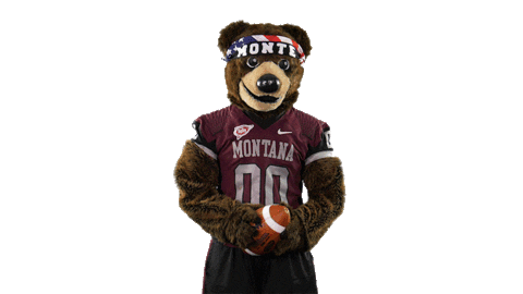 Football Bear Sticker by Montana Grizzlies