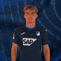 Sport Bundesliga GIF by TSG Hoffenheim