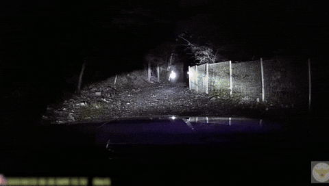 uuusssuuu giphyupload GIF