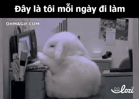 lozico giphyupload #pet GIF
