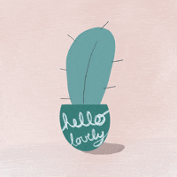 HelloNicoler happy dance dancing hello GIF