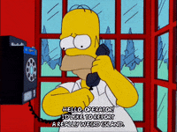 homer simpson episode 6 GIF