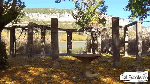 nandore giphygifmaker GIF