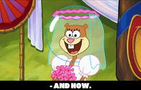 season 6 episode 23 GIF by SpongeBob SquarePants
