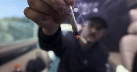 Bloom Burn GIF by Exclusive Brands