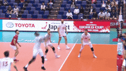 Italy Wow GIF by Volleyball World