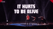 eurovision GIF by BBC