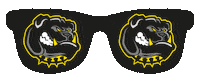 Americanfootball Sticker by Amberg Mad Bulldogs