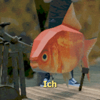 Goldfisch GIF