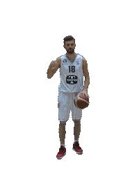 Ing All Star Sticker by Türkiye Basketbol Federasyonu