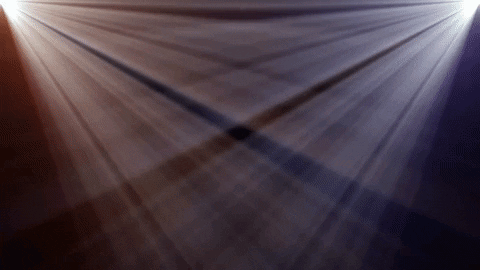 GIF by Jewish Federation of Greater MetroWest NJ