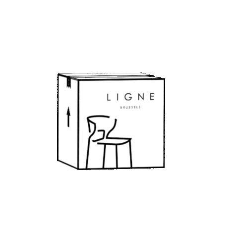 lignebrussels giphyupload delivery box furniture Sticker