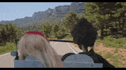 Puppets Marionette GIF by Elvis Costello