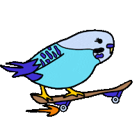 Bird Skate Sticker