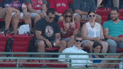 bos GIF by MLB