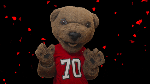 Valentines Day Touchdown GIF by Cornell Alumni