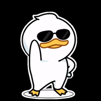 Crypto Cardano GIF by QUACKU