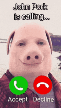 John Pork GIF by STRAPPED!