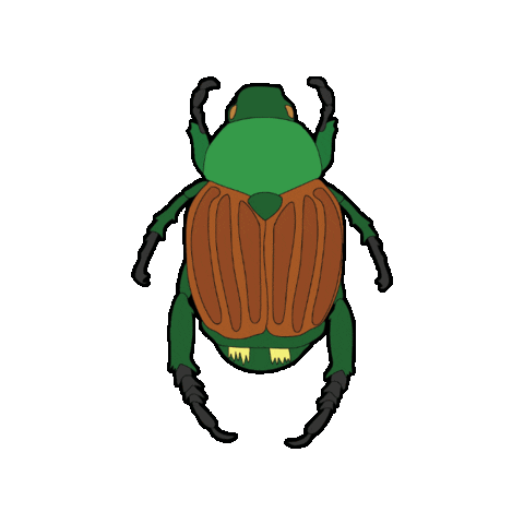 cfia_acia canada bug bugs beetle Sticker