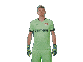 Bayer 04 Deal With It Sticker by Bayer 04 Leverkusen