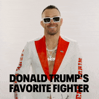 Mixed Martial Arts Sport GIF by UFC