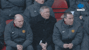 History No GIF by MolaTV